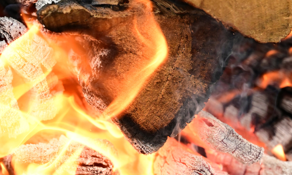 pos toak wood burning