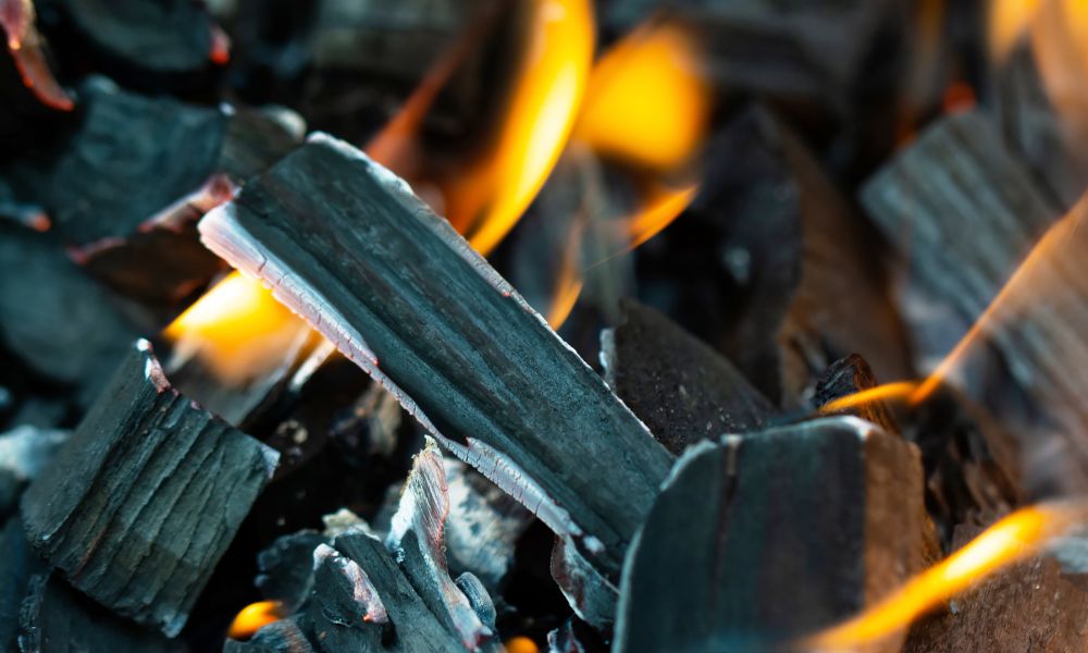 Best wood best sale for smoking ham
