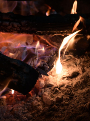 close up of firewood burning and a blue flame