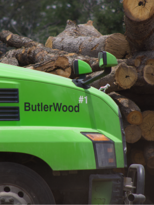 Close-up of a bright green log loader truck with the brand name ButlerWood and '#1' printed on the side, positioned in front of a stacked pile of cut logs.