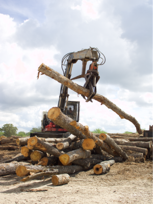 A logging machine with a large claw attachment lifts a long log in an outdoor logging yard under a cloudy sky, with stacked cut logs on the ground.