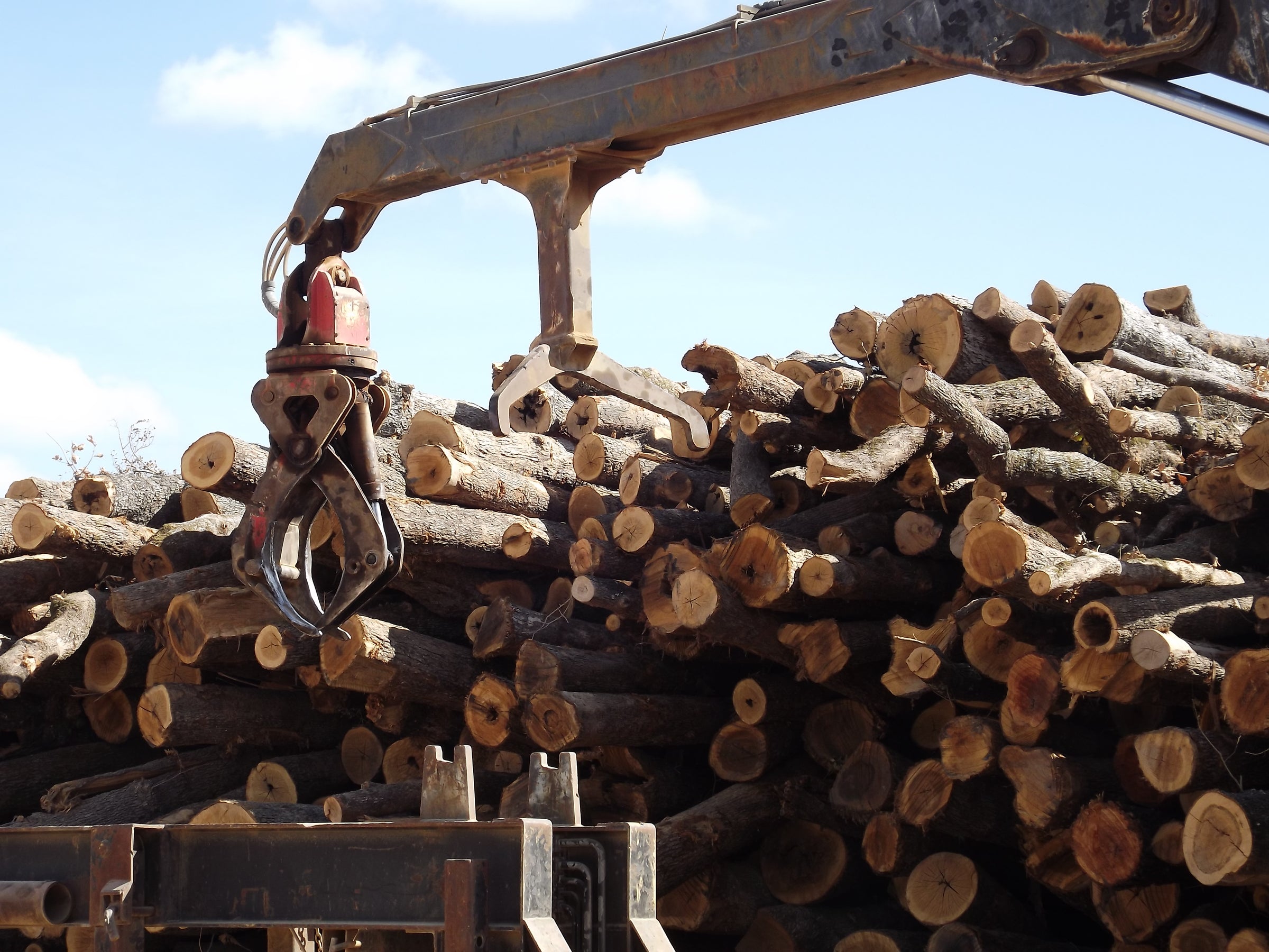 Machinery moving logs that are stacked in a land clearing job.